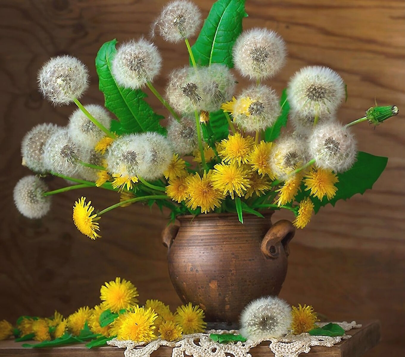 Одуванчики в горшке