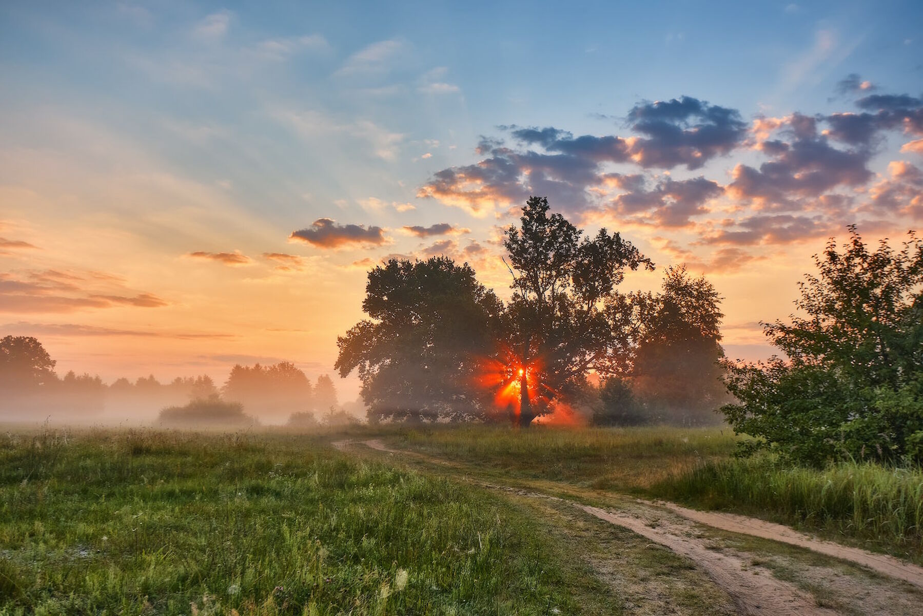 Рассвет и туман