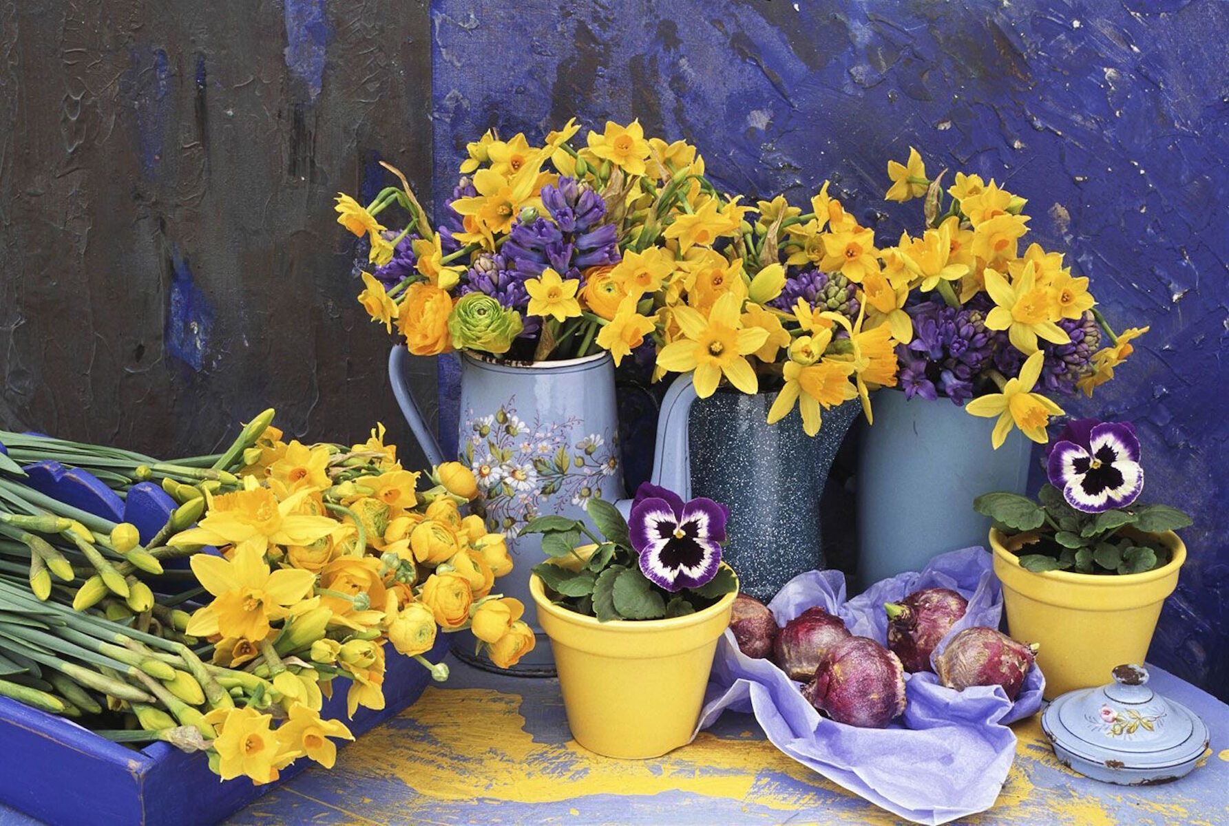 Нарциссы и розы