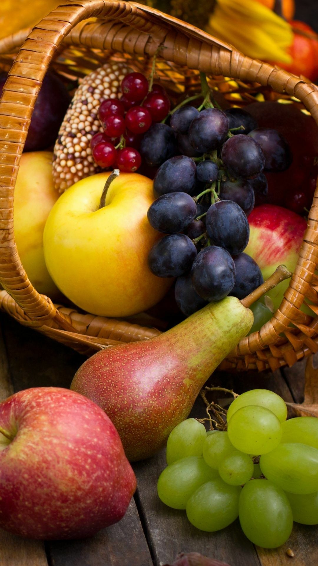 Из корзинки