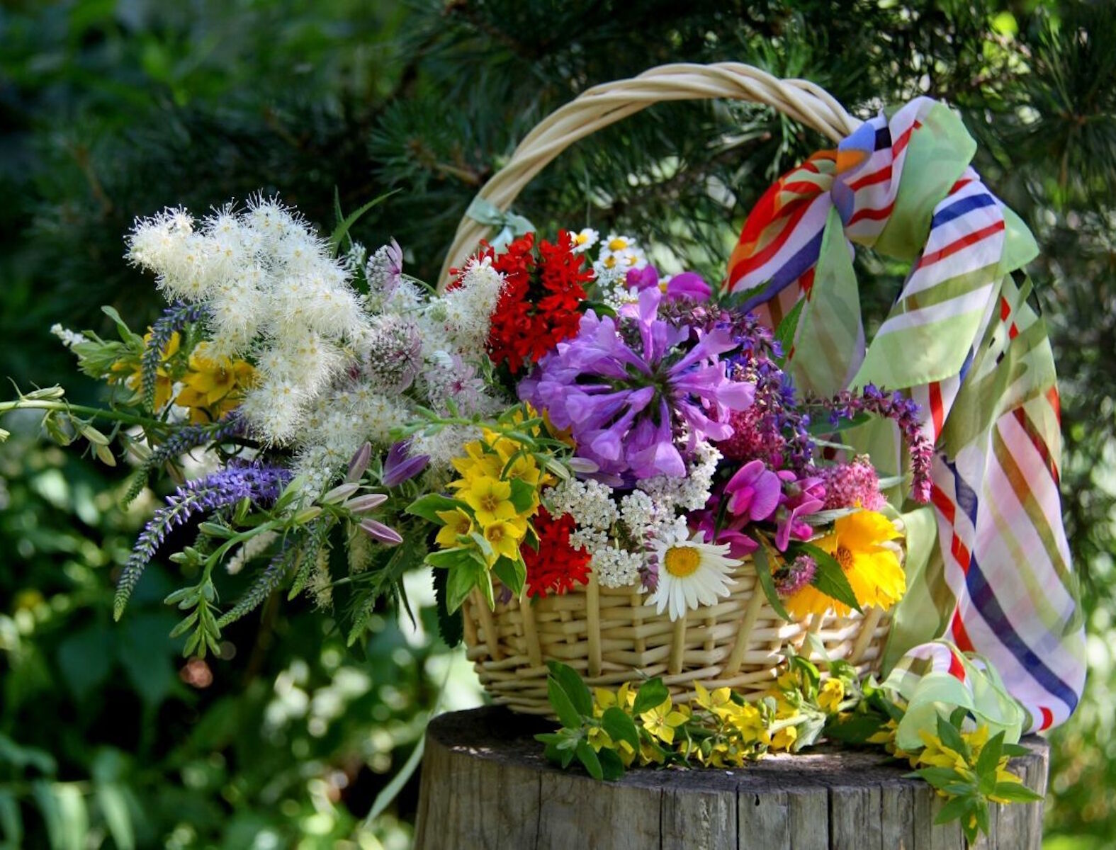 Цветы в коринке и платок