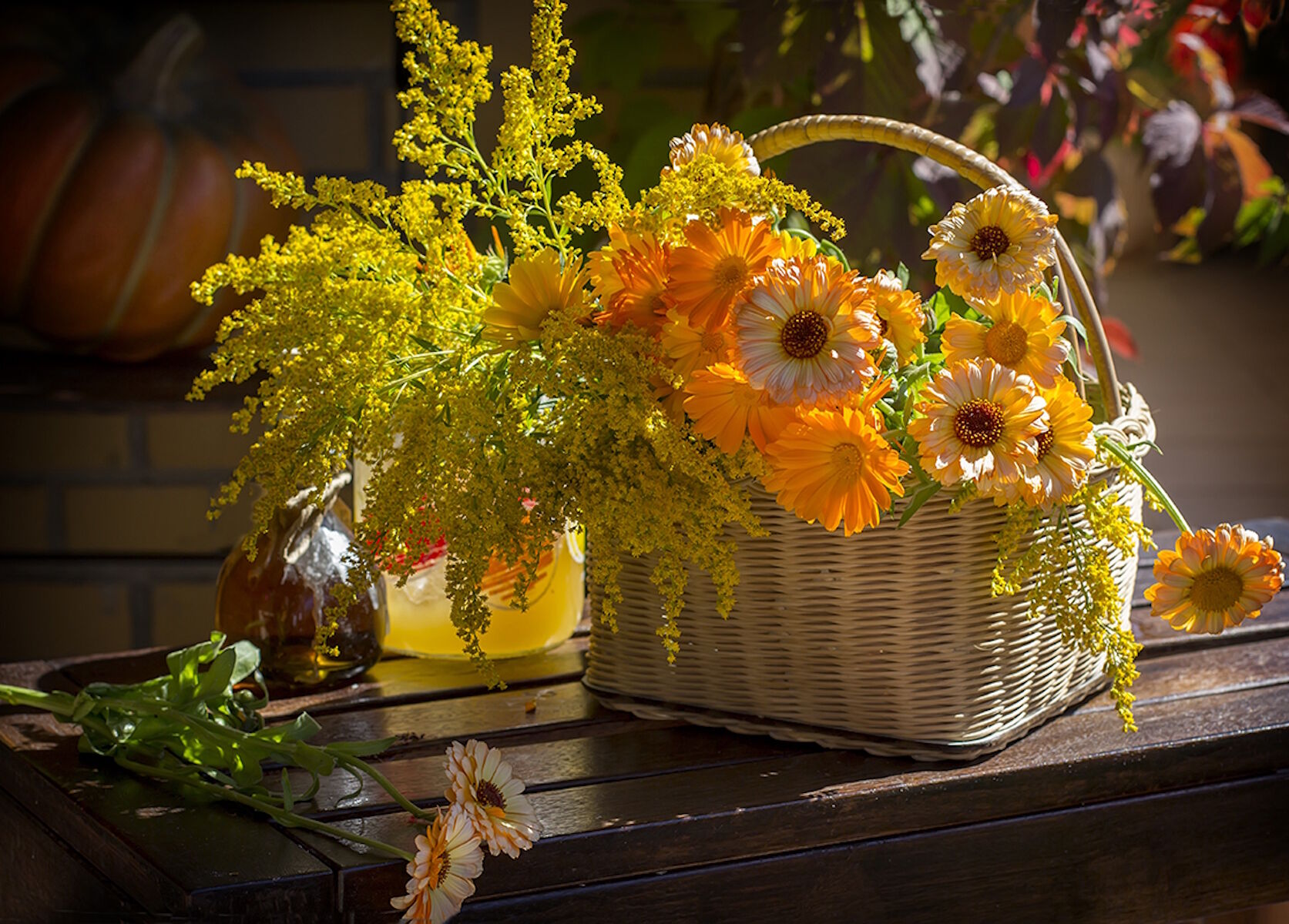 Календула и мимоза