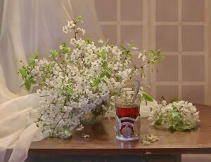 Чай и цветение вишни