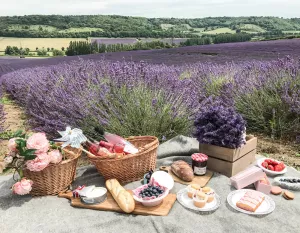 На лавандовых полях