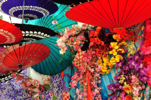 Цветы и зонтики