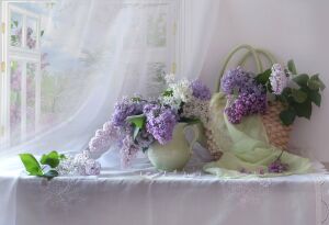 Сирень и окно