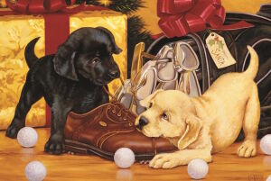 Два щенка и ботинок