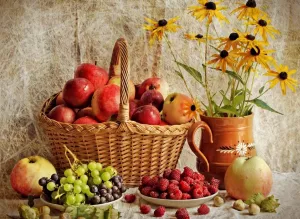 Эхинацея и фрукты