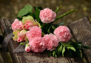 Розовые цветы на скамейке