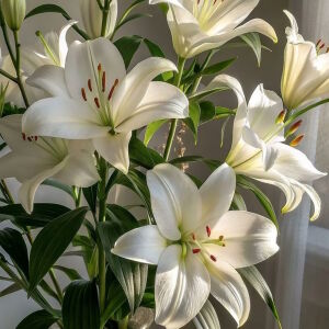Букет белых лилий