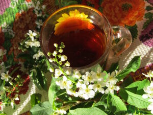 Чай с черемухой