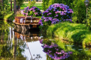 Лодка у гортензий