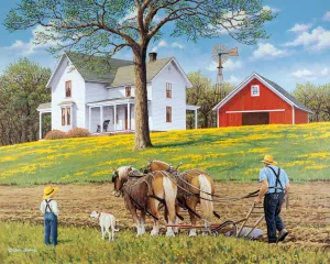 Работа в поле