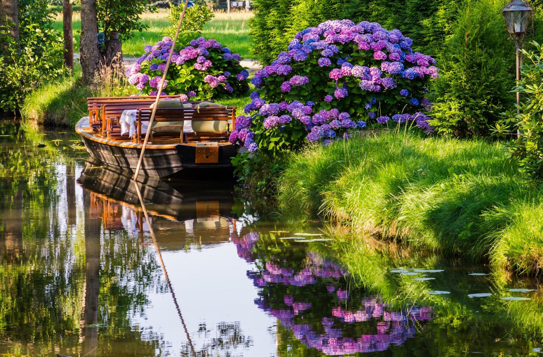 Лодка у гортензий