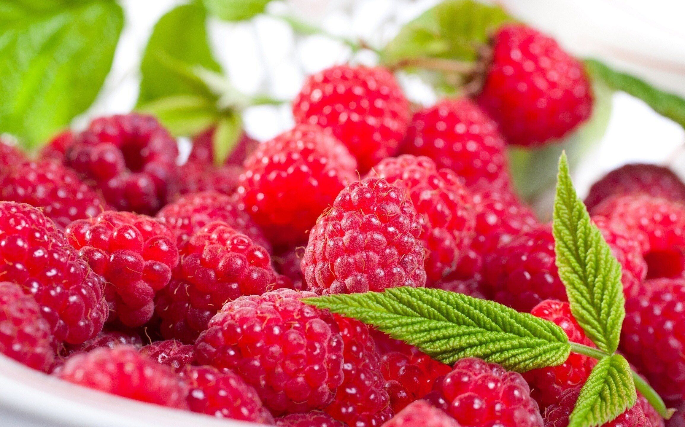 Бархатная малина