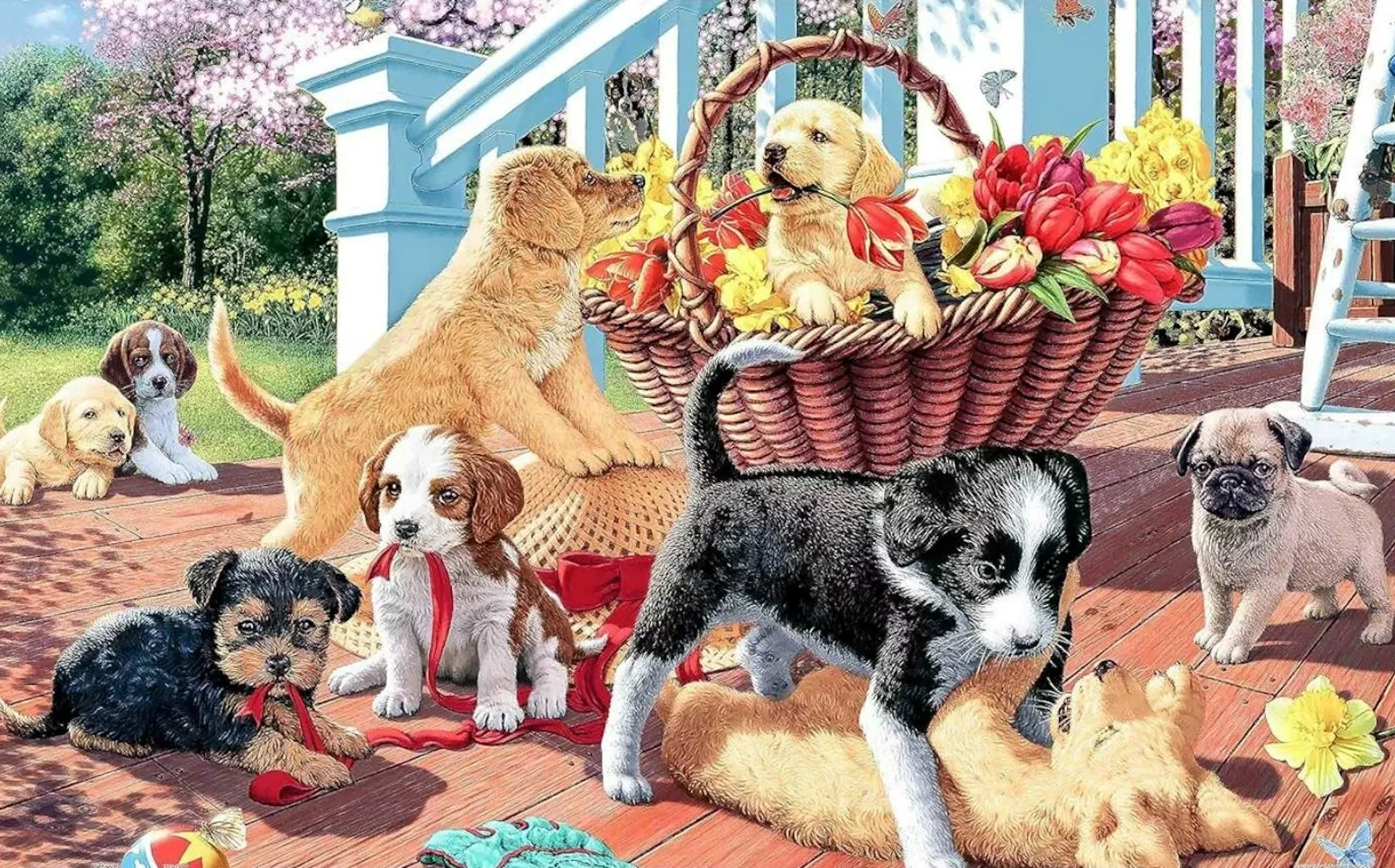 Щенки и корзина