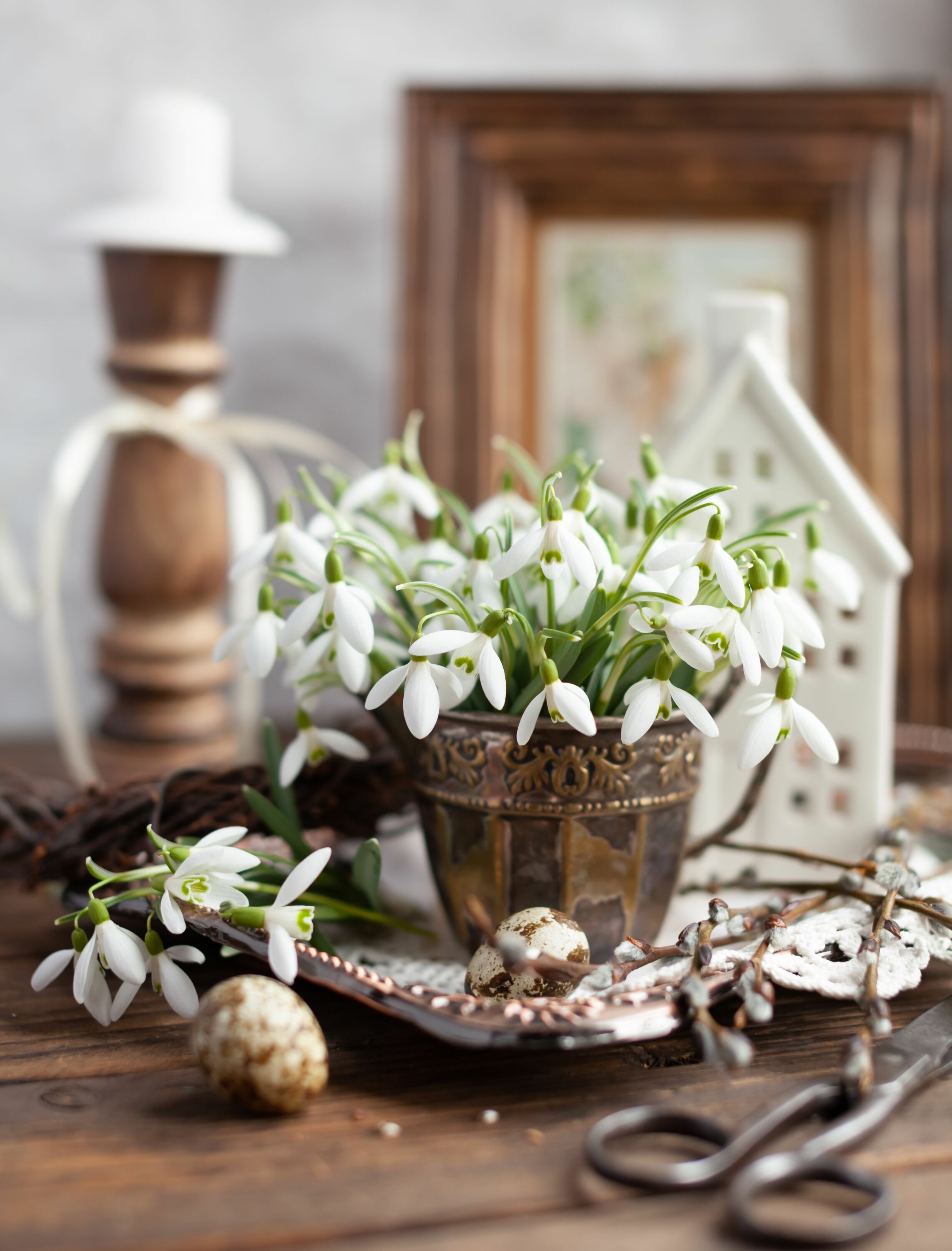 Подснежники в чаше