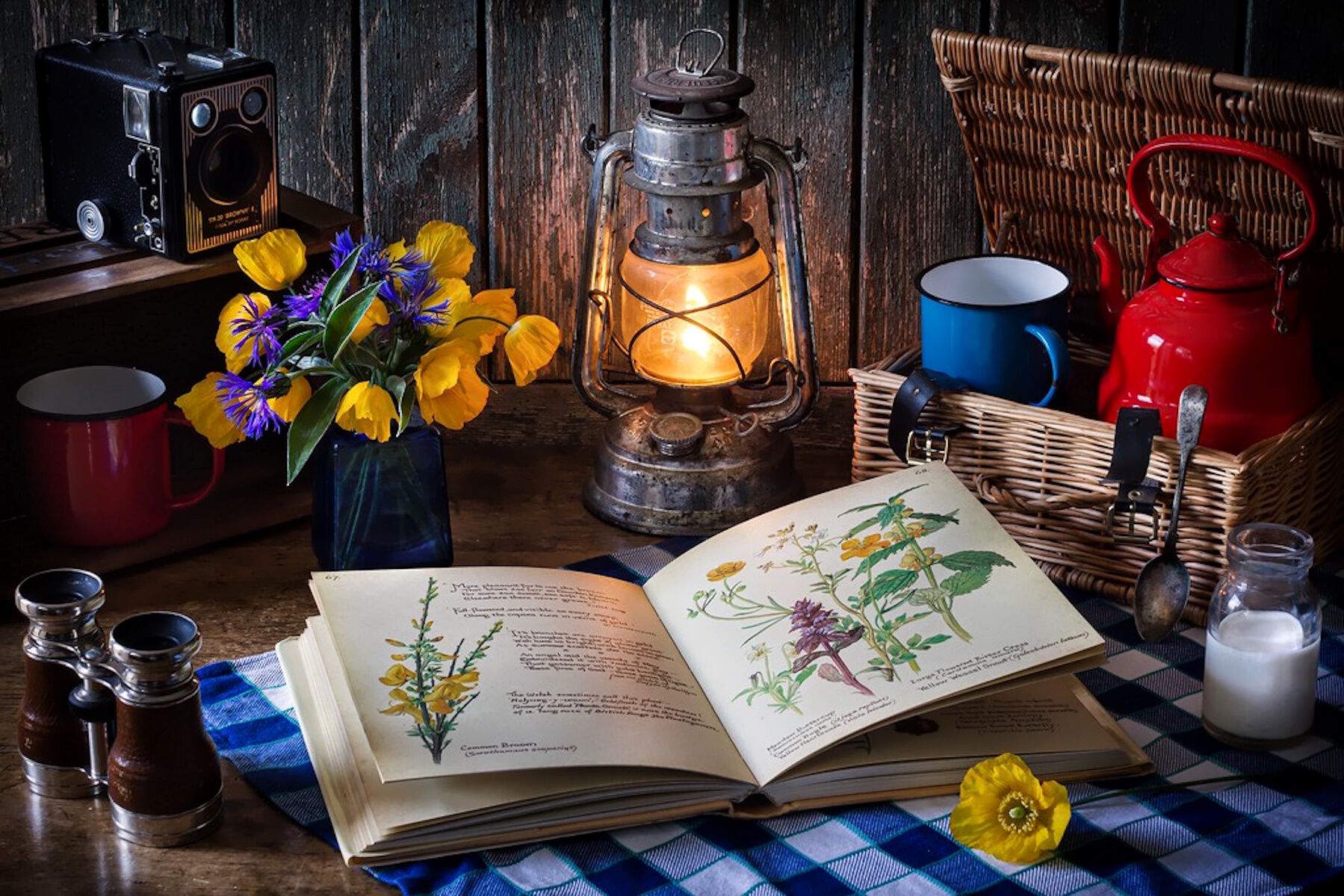 Натюрморт травника