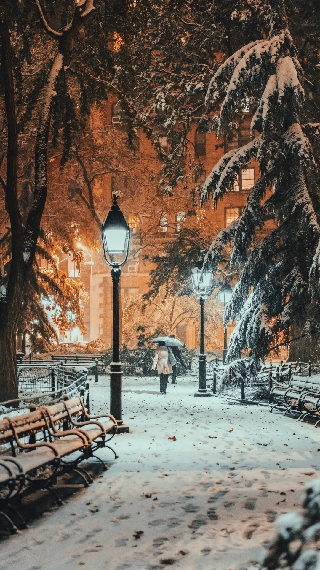 Зимняя вечерняя прогулка