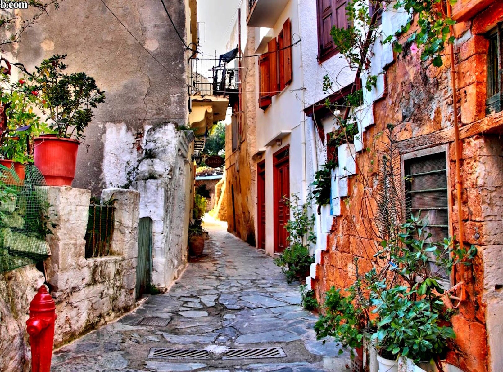 Старая улица с растениями