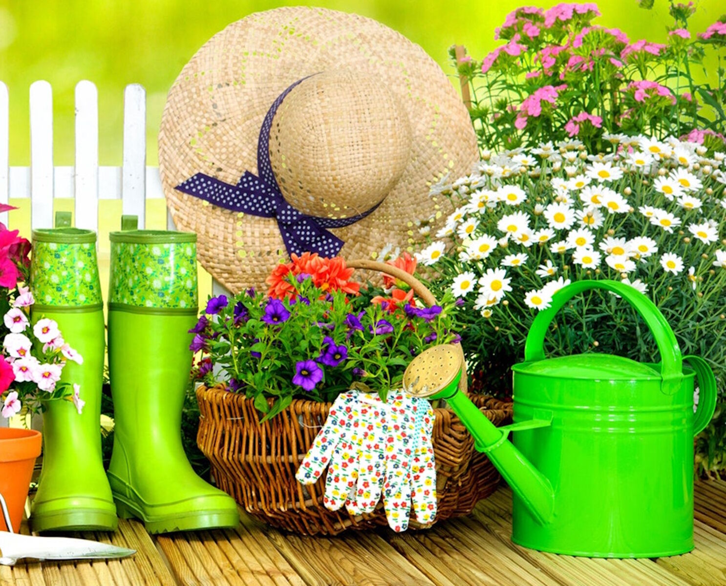 Сапоги и лейка