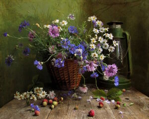 Цветы с поля