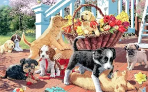 Щенки и корзина