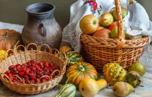 Шиповник и декоративные тыковки