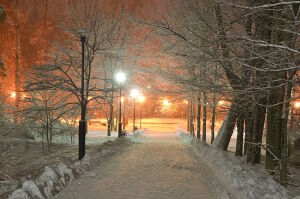 Зима в парке