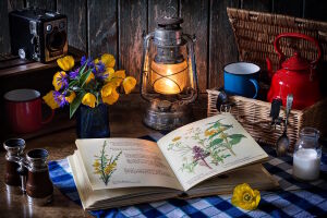 Натюрморт травника