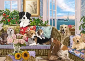 Собачки на диванах