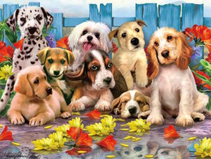 Щенки у забора