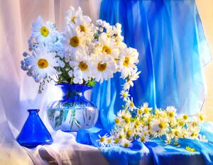 Ромашки на синем