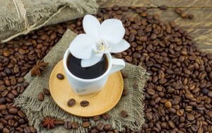 Кофе и цветок