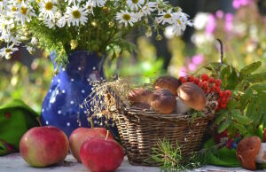Грибы в корзинке и яблоки