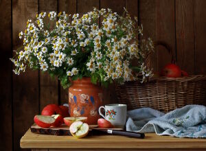 Ромашки и яблочки