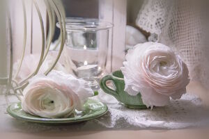 Нежные светлые цветы