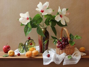 Гибискус и абрикосы