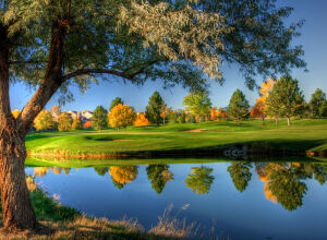 Летний берег