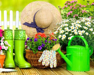 Сапоги и лейка