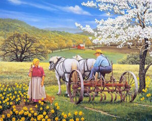 Пожилые фермеры