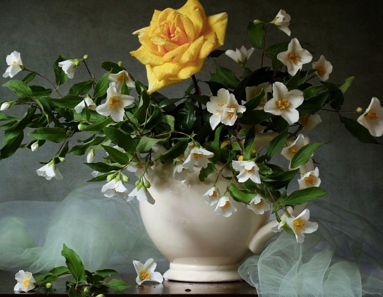 Роза и жасмин