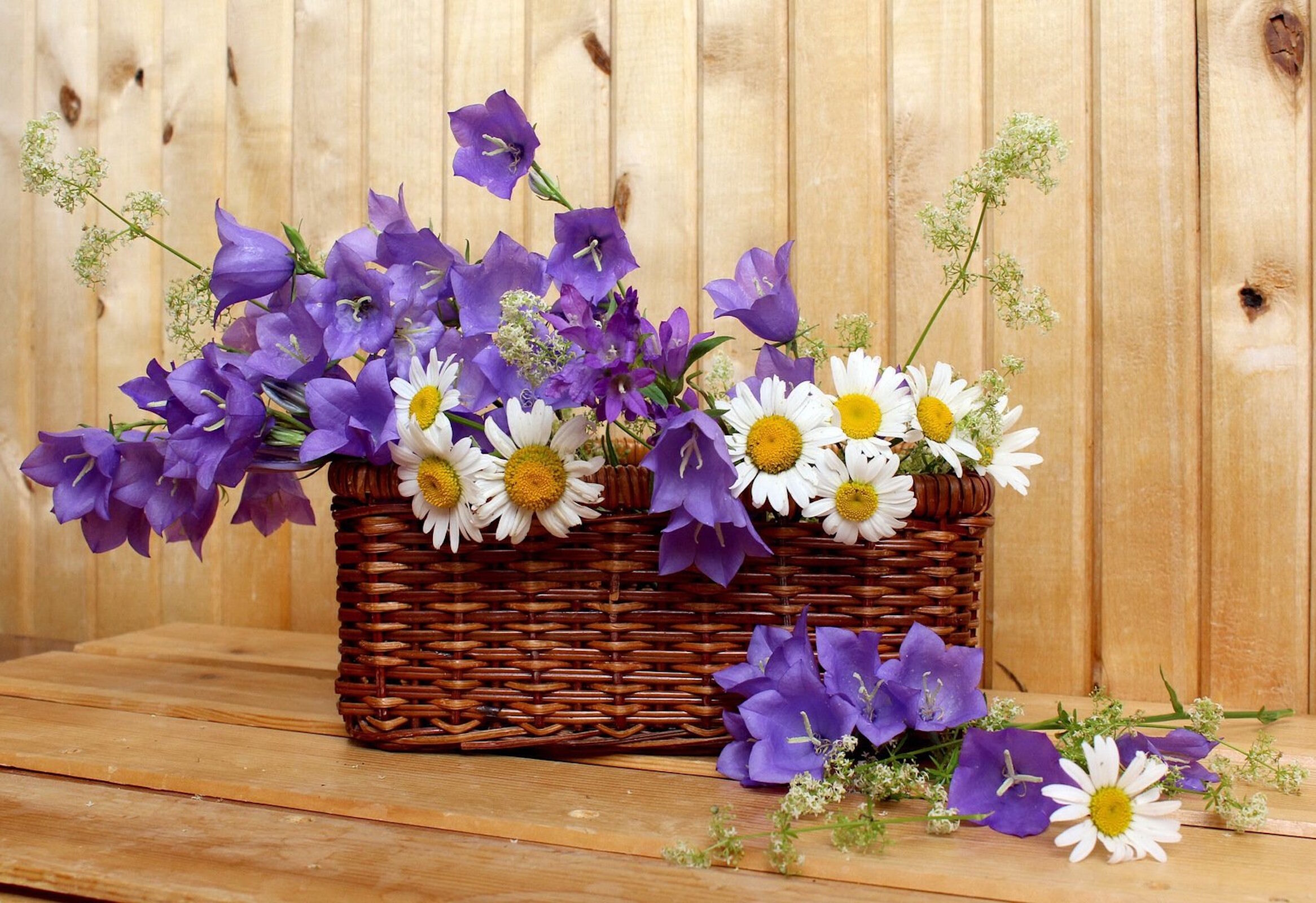 Колокольчики и ромашка