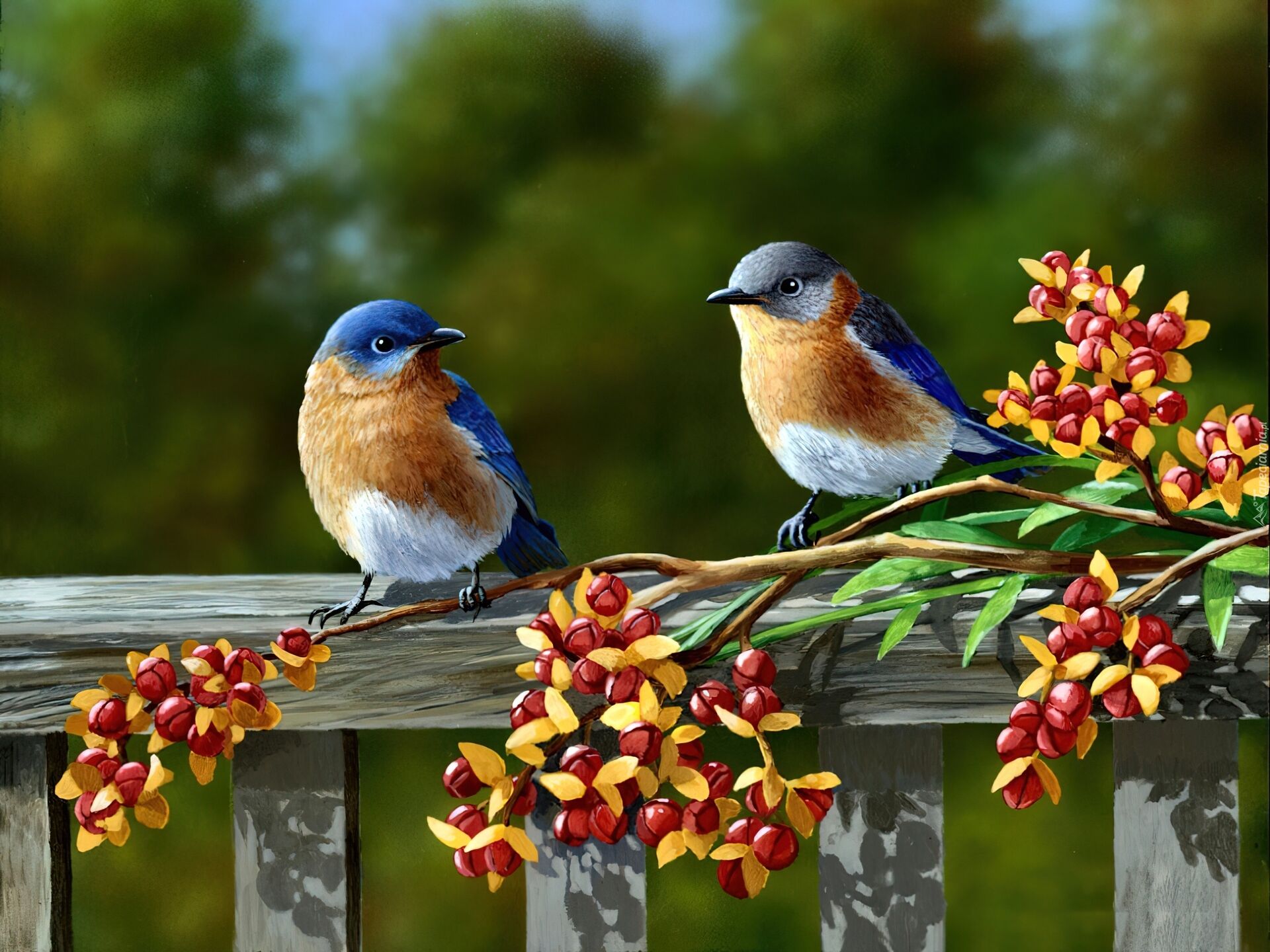 Две маленькие птички