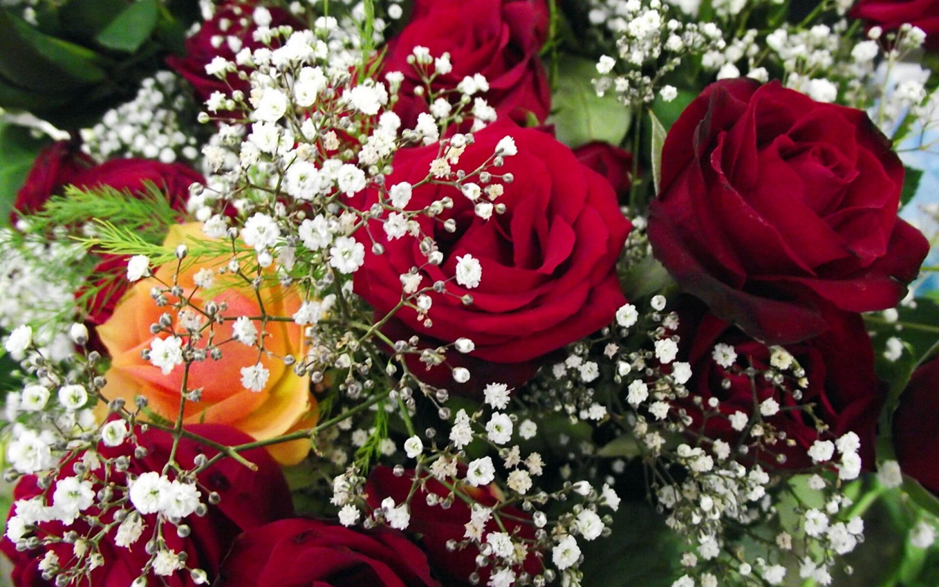 Розы с белой гипсофилой