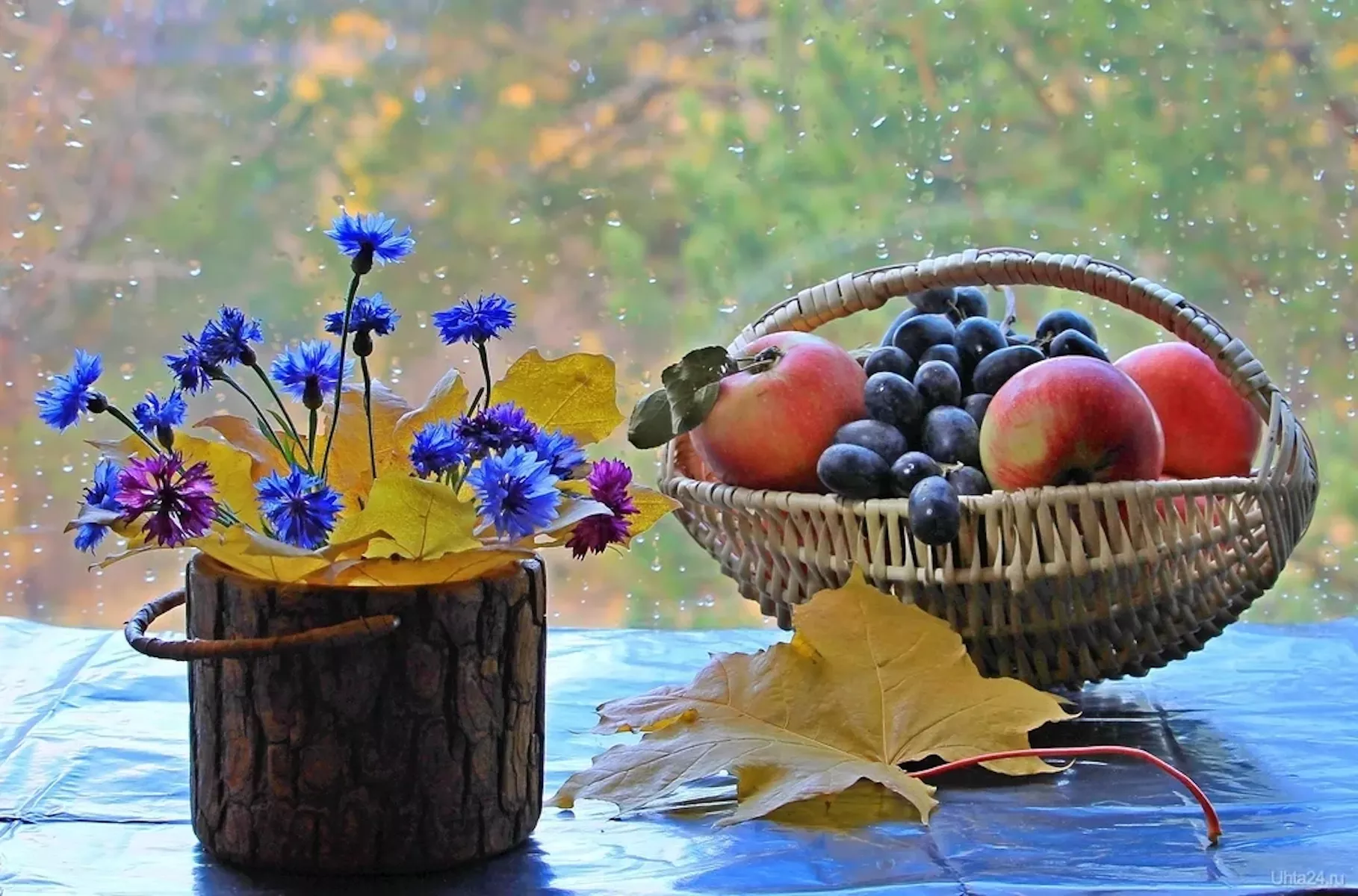 Дождик и натюрморт