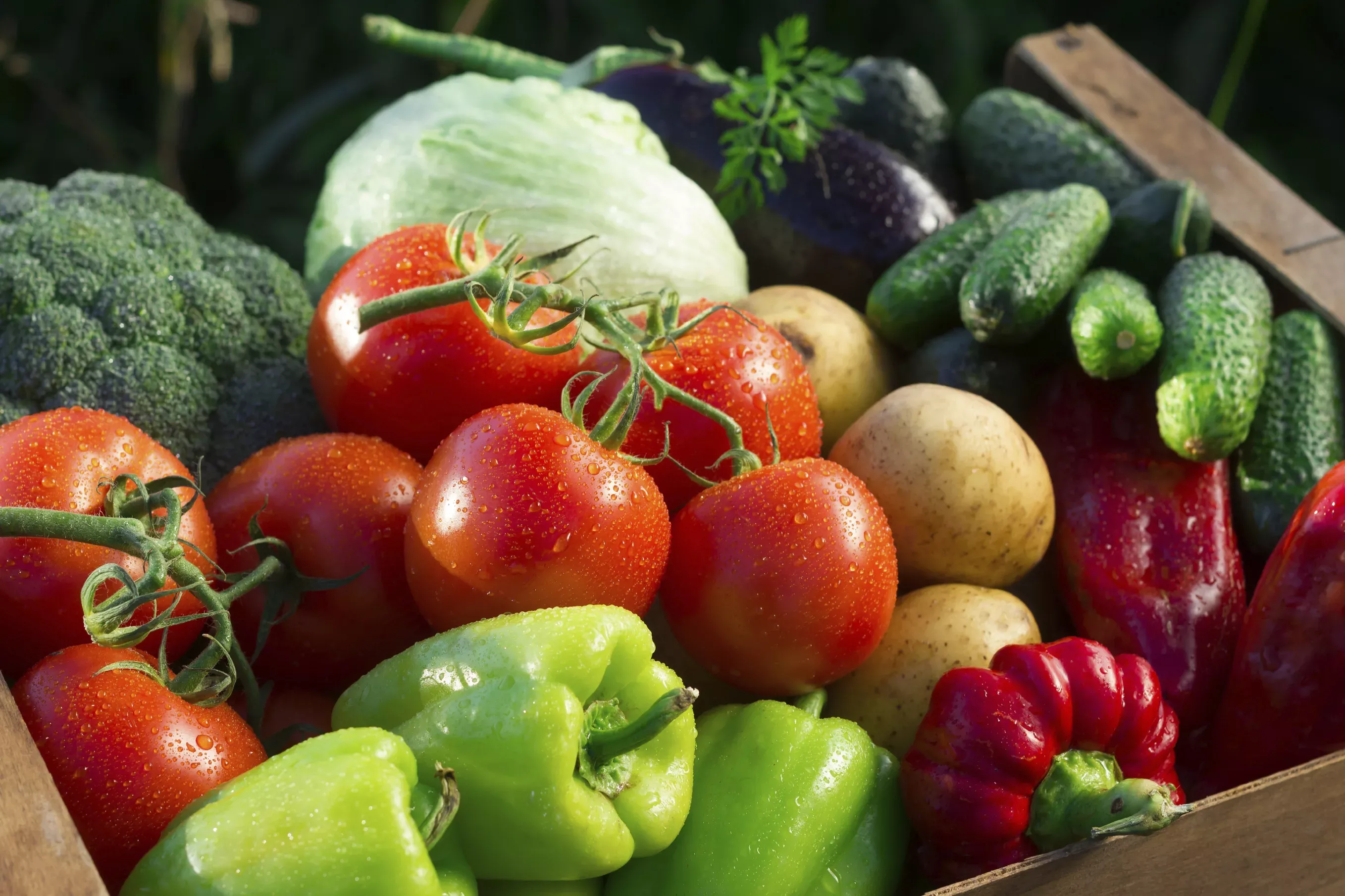 Овощи свежие и сочные