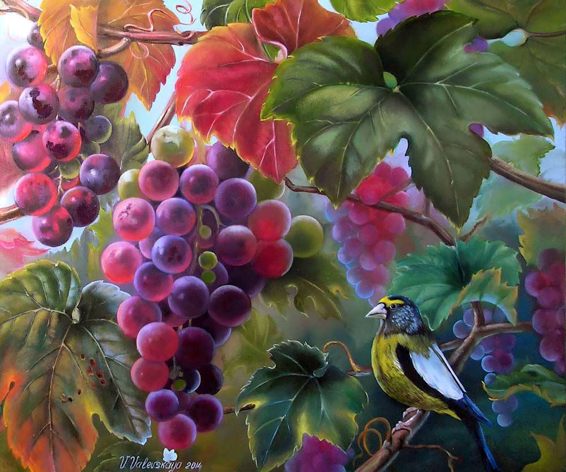 Птица и грозди винограда