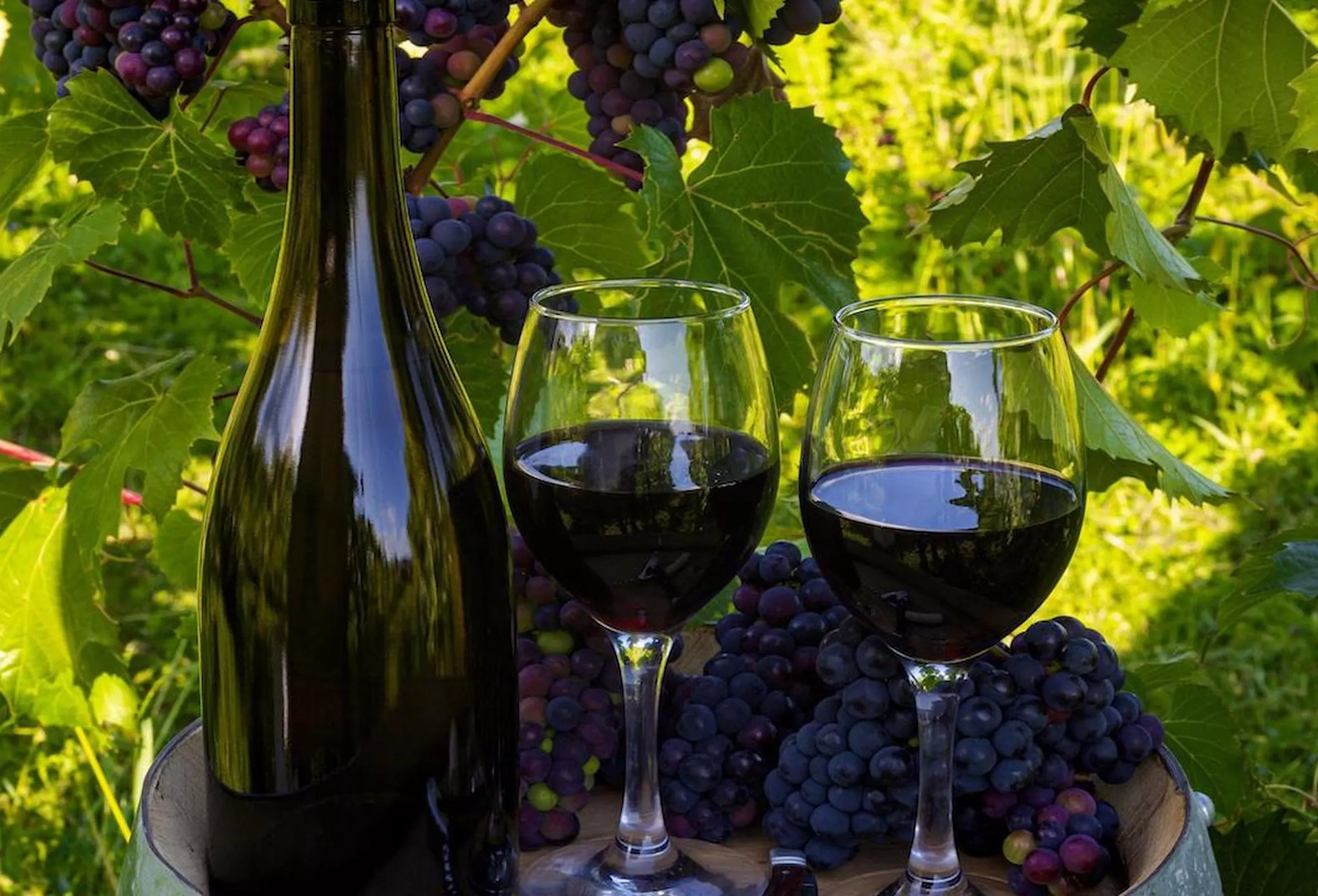 Вино темное виноградное