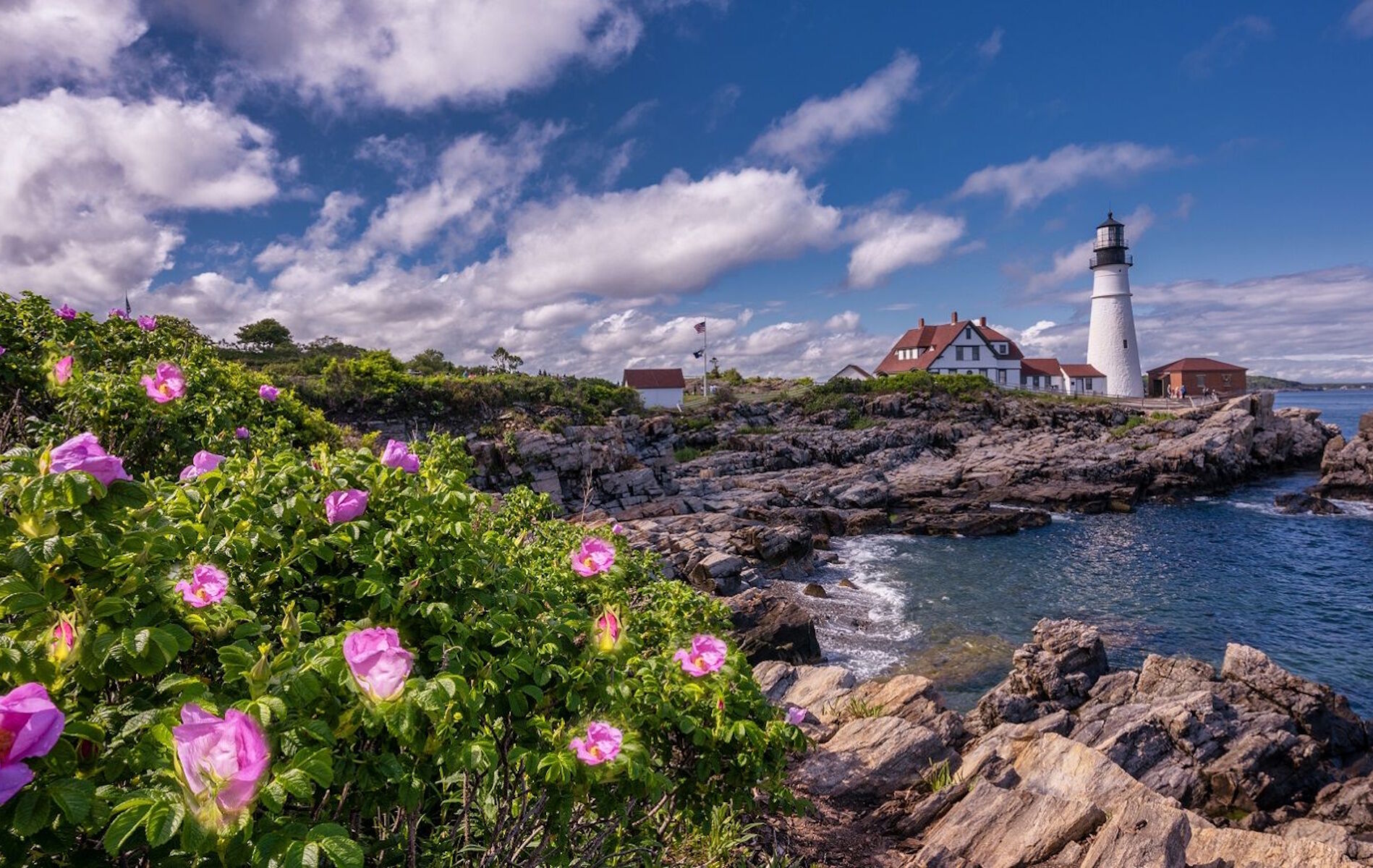 Цветы на берегу и маяк